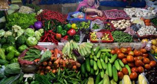Strategi Bisnis Sayuran di Pasar